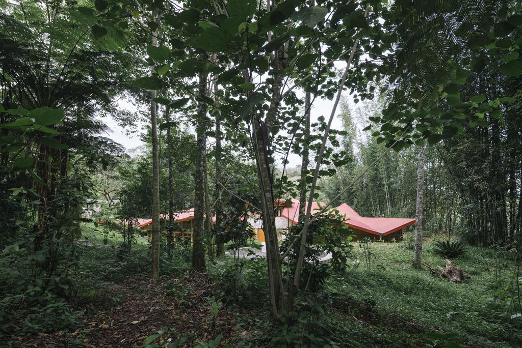 Hostal Tosepan Kali Cuetzalán del Progreso 외부 사진